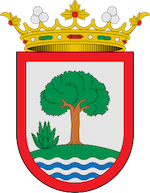 procurador brenes