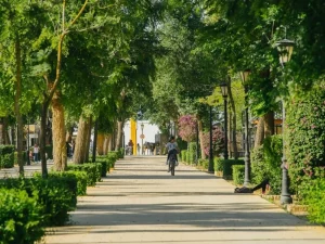 procurador dos hermanas barato procurador dos hermanas barato