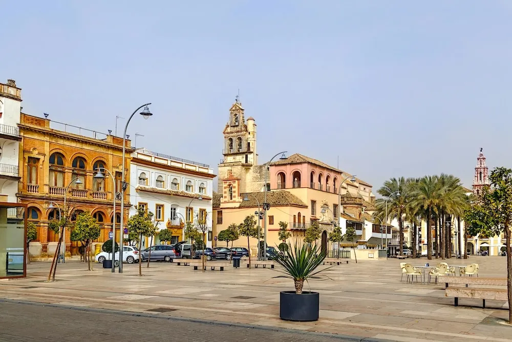 procurador ecija