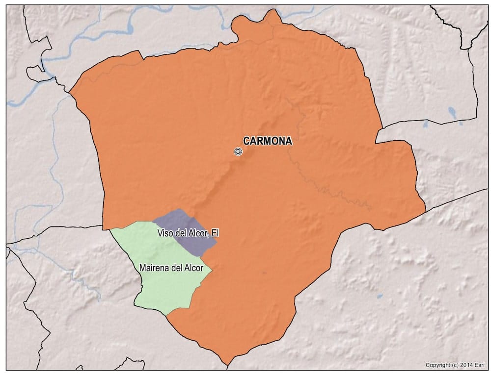 procuradores de carmona