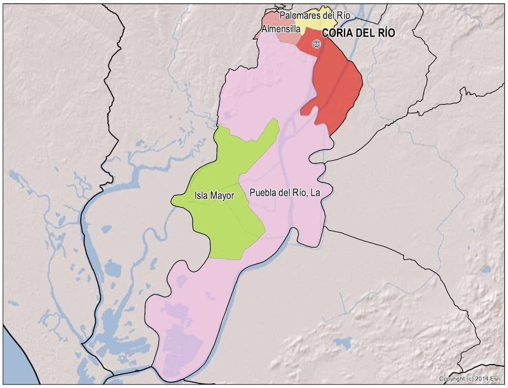 procuradores coria del rio