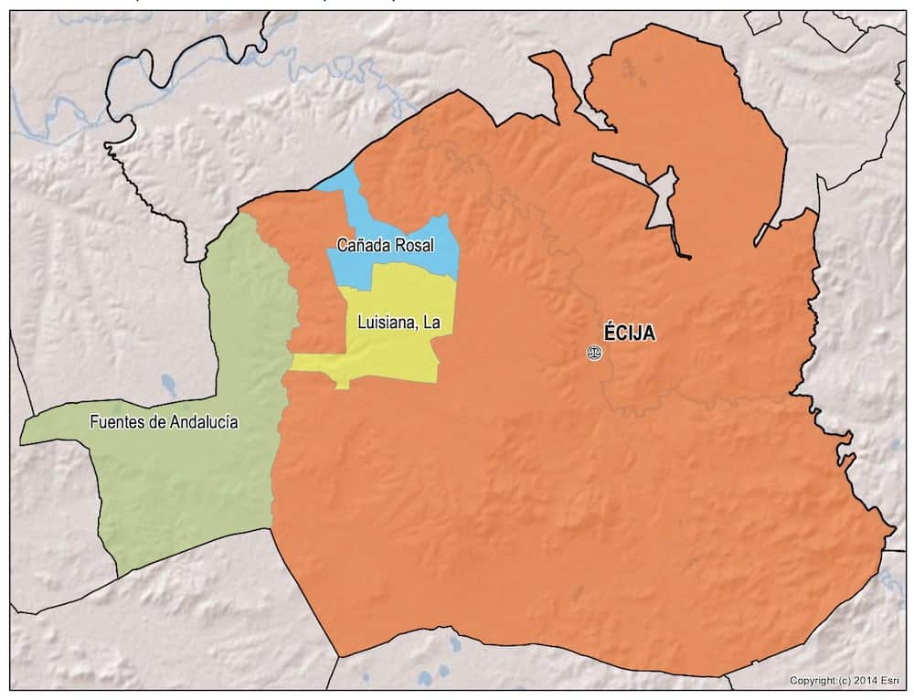 procuradores de ecija