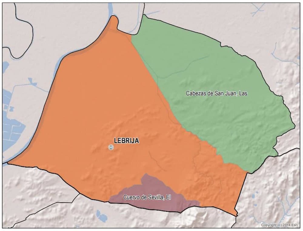 procuradores de lebrija